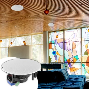 ПОТОЛОЧНЫЙ громкоговоритель 1 шт. 120 Вт 100 В 6,5 дюйма 8 Ом для гостиной