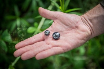 Кнопка HELIKON Большая кнопка компаса KS-BCL-AT-01