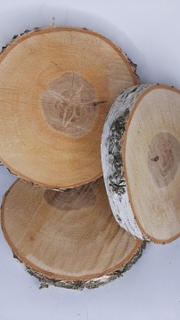 Срез березового диска, мега 17-20см.