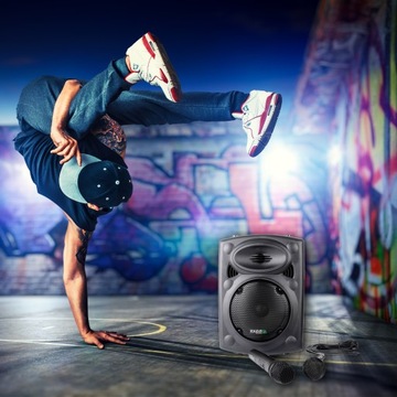 Активная колонка Аккумулятор PORT8UHF-BT-TWS 2 микрофонных чехла