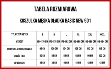 BIG STAR KOSZULKA MĘSKA GŁADKA BASIC 901 M