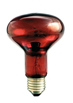 Promiennik podczerwieni terrarium Rubin E27 75W 1200K PRO-1466 HELIOS