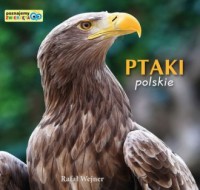 Ptaki polskie Rafał Wejner