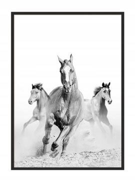 OBRAZ PLAKAT W RAMIE 33x43 cm Konie P927