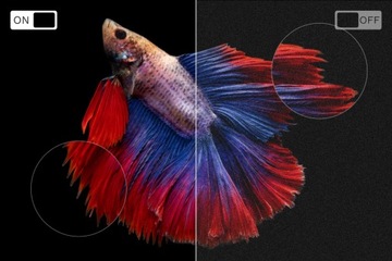 SMART TV WiFi 24-дюймовый HD ПРИЛОЖЕНИЯ VIDAA Youtube Prime Netflix