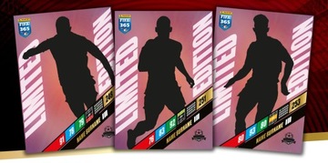 Премиальная золотая банка FIFA 365 2024. Цвет карты Panini на выбор