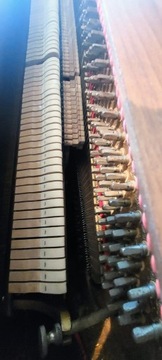 Калисия фортепиано