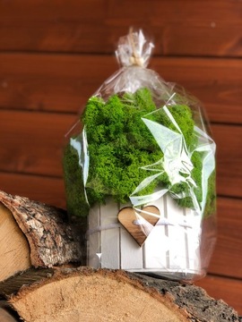 МОСС ХРОБОТЕК ДЕРЕВЯННЫЙ ОТДЕЛКА МОДНЫЙ ОТДЕЛКА ДЕРЕВО