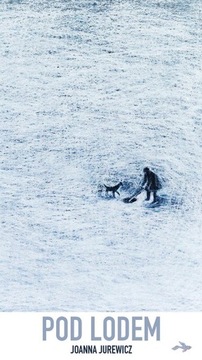 Pod lodem - ebook