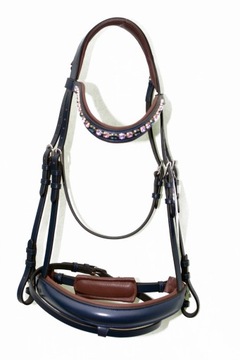 Профилированная анатомическая команда полна