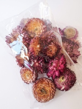 Бессмертник сушеный, фиолетовый, 10 шт, сухоцветы