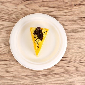 Disposable Plates Bagasse Paper Tray 100 PCS