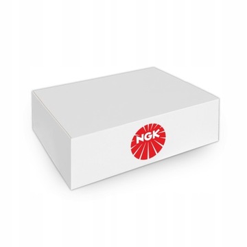 Свеча зажигания NGK NGK 4968.