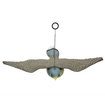 БОЛЬШОЙ СОКОЛ ПТИЦ ОТПУСКАТЕЛЬ ГОЛУБЕЙ НАЧИНКИ ВИСЯЧИЙ САД ЛЕТАЮЩАЯ ПТИЦА