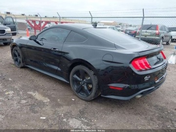 Ford Mustang VI 2021 Ford Mustang Ecoboost Fastback, 2021r., 2.3L 2.3 Benzyna 310KM, zdjęcie 2