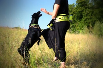 Набедренный ремень TRUELOVE TREK GO для бега с собакой