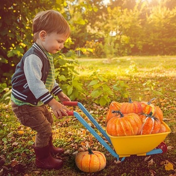 ОСЕННИЕ УКРАШЕНИЯ ДЛЯ ХЭЛЛОУИНА ИСКУССТВЕННЫЕ ТЫКВЫ 12 ШТ.