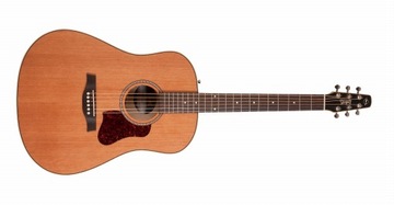SEAGULL COASTLINE MOMENTUM HG A/E gitara eleakust
