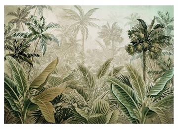 FOTOTAPETA DŻUNGLA SŁONECZNA 3D AMAZONIA LAS TROPIKALNY LIŚCIE 368x254
