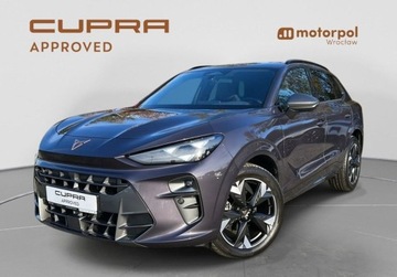 Cupra Terramar SUV 1.5 eTSI 150KM 2025 Cupra Terramar Pakiety, SENNHEISER, Sportowe fotele, ACC, Panorama, Bezwy