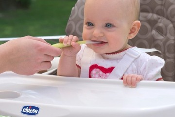 ПЕРВАЯ ЛОЖКА ДЛЯ КОРМЛЕНИЯ 8М+ CHICCO