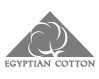 ZWOLTEX МЯГКОЕ ПОЛОТЕНЦЕ MEGAN 50X100 бирюзовый