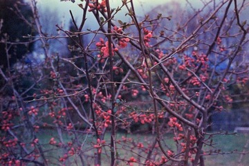 Фуджифильм Этерна 500 36эксп.