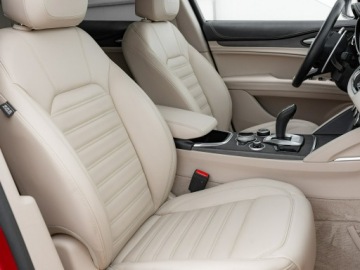 Alfa Romeo Stelvio SUV Facelifting 2.0 Turbo 280KM 2021 Alfa Romeo Stelvio WD1861S#2.0 Turbo 6C Villa, zdjęcie 32