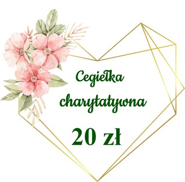 Cegiełka charytatywna - pomoc Pawłowi
