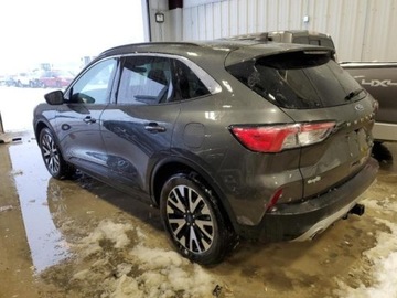 Ford Kuga III 2020 Ford Kuga FORD KUGA, 2020r., 4x4, 2.0L, po gradobiciu 2.0 Benzyna 250KM, zdjęcie 1