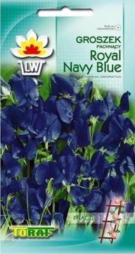 Toraf Nasiona Groszek pachnący Royal Navy Blue 1G TORAF