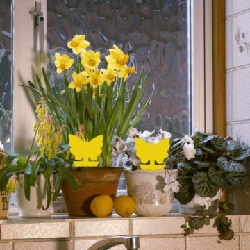 ПАП ДЛЯ ТЕПЛИЧНЫХ ГОРШКОВ ОТ ТЛИ, НАЗЕМНЫХ КРУЖЕК, МУРАВЕЙ, МУРАВЬЕВ, 12 ШТ.