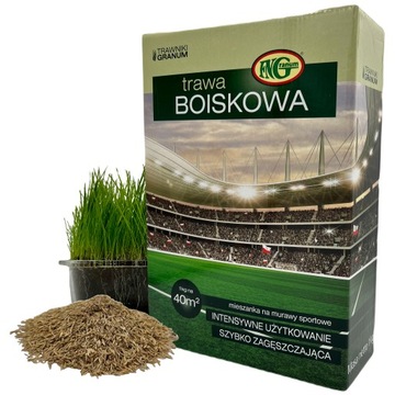 TRAWA NASIONA Sportowa Odporna na Wymarzanie Na Murawę 1kg