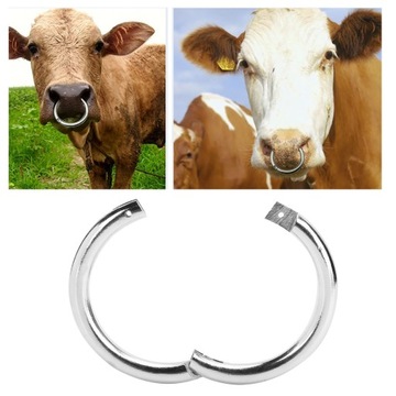 Металлическое кольцо из бычьего носа, хромированное.