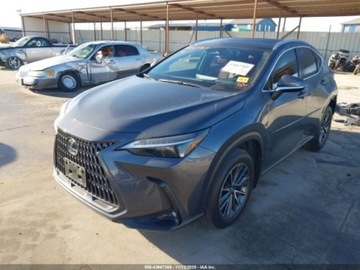 Lexus NX II 2024 Lexus NX 2024 LEXUS NX 350H LUXURY 2.5 Hybryda 189KM, zdjęcie 2