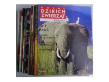 Świat dzikich zwierząt zestaw 142 sztuk