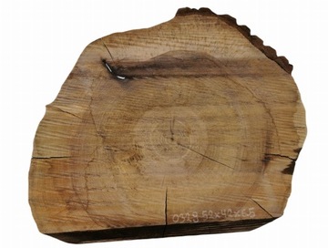 Plaster Orzecha Włoskiego 52x42 Blat Stolik Kawowy