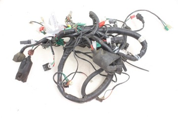 WIĄZKA ELEKTRYCZNA Sym GTS Evo 125 300