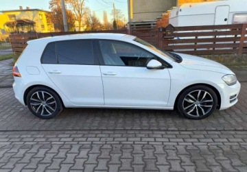 Volkswagen Golf VII Hatchback 3d 2.0 TDI-CR DPF 150KM 2014 Volkswagen Golf Volkswagen Golf 2.0 BlueTDI Highline 2.0 Diesel 150KM, zdjęcie 2