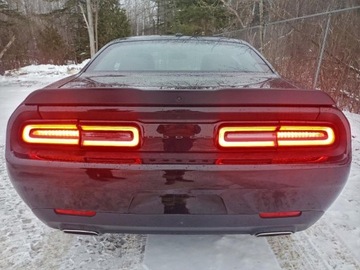 Dodge Challenger III 2023 Dodge Challenger Sxt 2023 3.6 Benzyna 303KM, zdjęcie 2