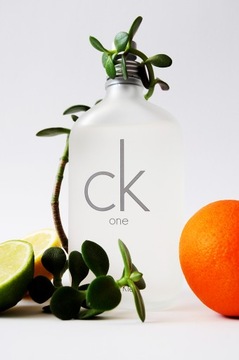 CALVIN KLEIN CK ONE EDT 200ML + распылитель ОРИГИНАЛ