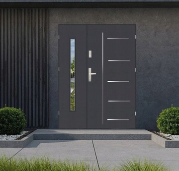 ПОЛЬСКИЕ ДВУСТОРОННИЕ НАРУЖНЫЕ ДВЕРИ FUTURE 41 DUO 2