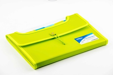 Дизайнерская папка Vfile Strigo А4 с 6 разделителями, зеленая