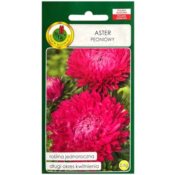 PNOS Aster peoniowy różowo-purpurowy 0,8g