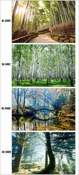 Фотообои на заказ лес в тумане, деревья, природа