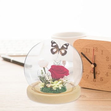 Обложки с стабилизированными цветами в форме глобуса