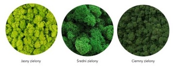 Картина круг со мхом, диаметр 40 см.