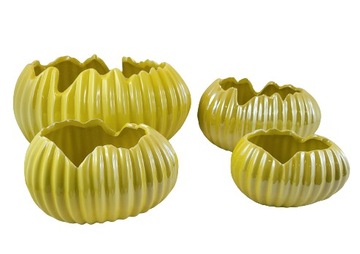 DONICZKA/OSŁONKA SKORUPKA ŻÓŁTA PERŁOWA