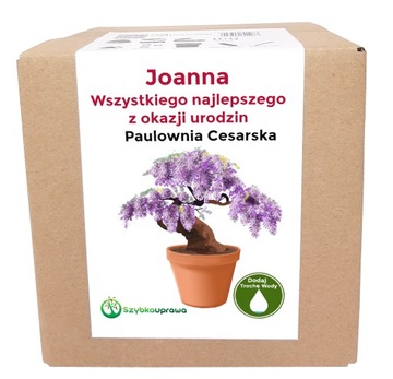 Zestaw do uprawy paulownia urodziny Joanny Joanna
