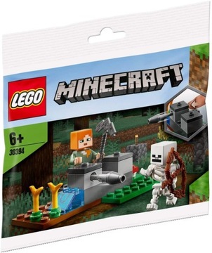 LEGO Minecraft 30394 Alex i szkielet